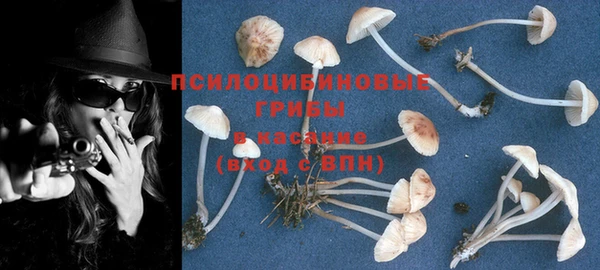 тгк Алексеевка