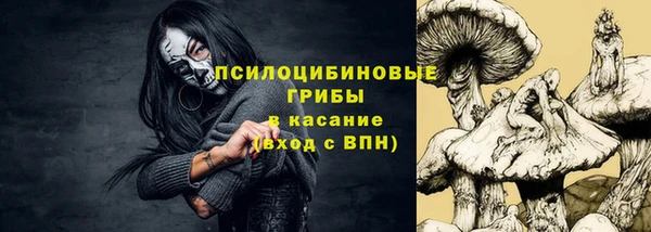 гидра Алексин