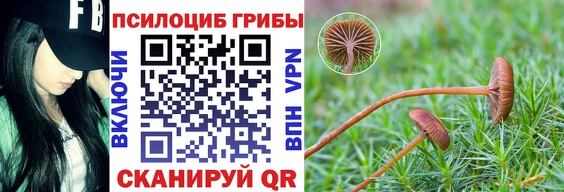 Галлюциногенные грибы Psilocybine cubensis  ссылка на мегу зеркало  Ижевск 